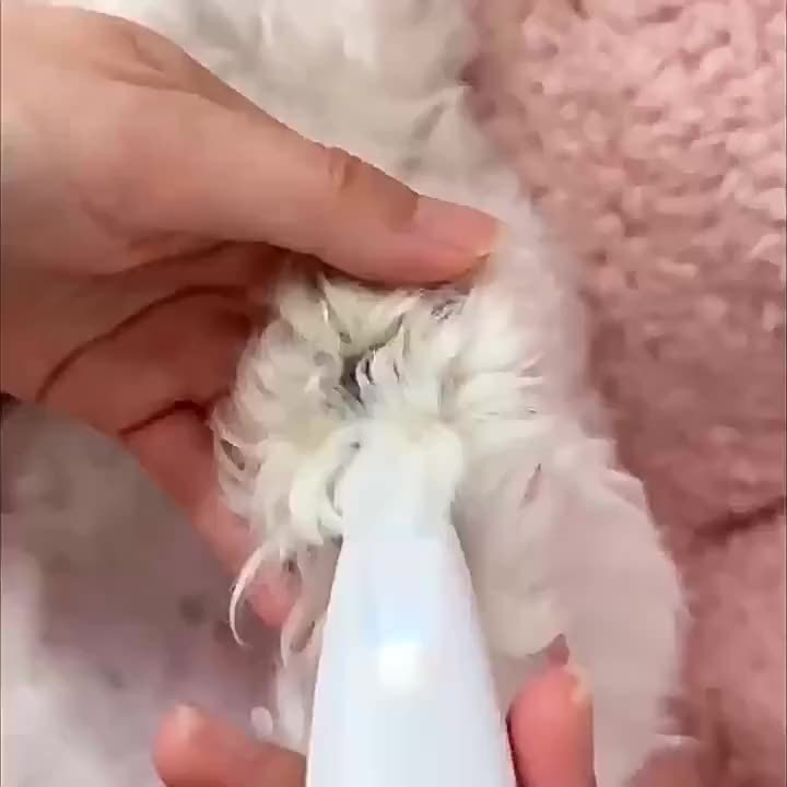 Máquina de tosa silenciosa para animais de estimação – sem fio, recarregável via USB e fácil para aparar pelos em casa!