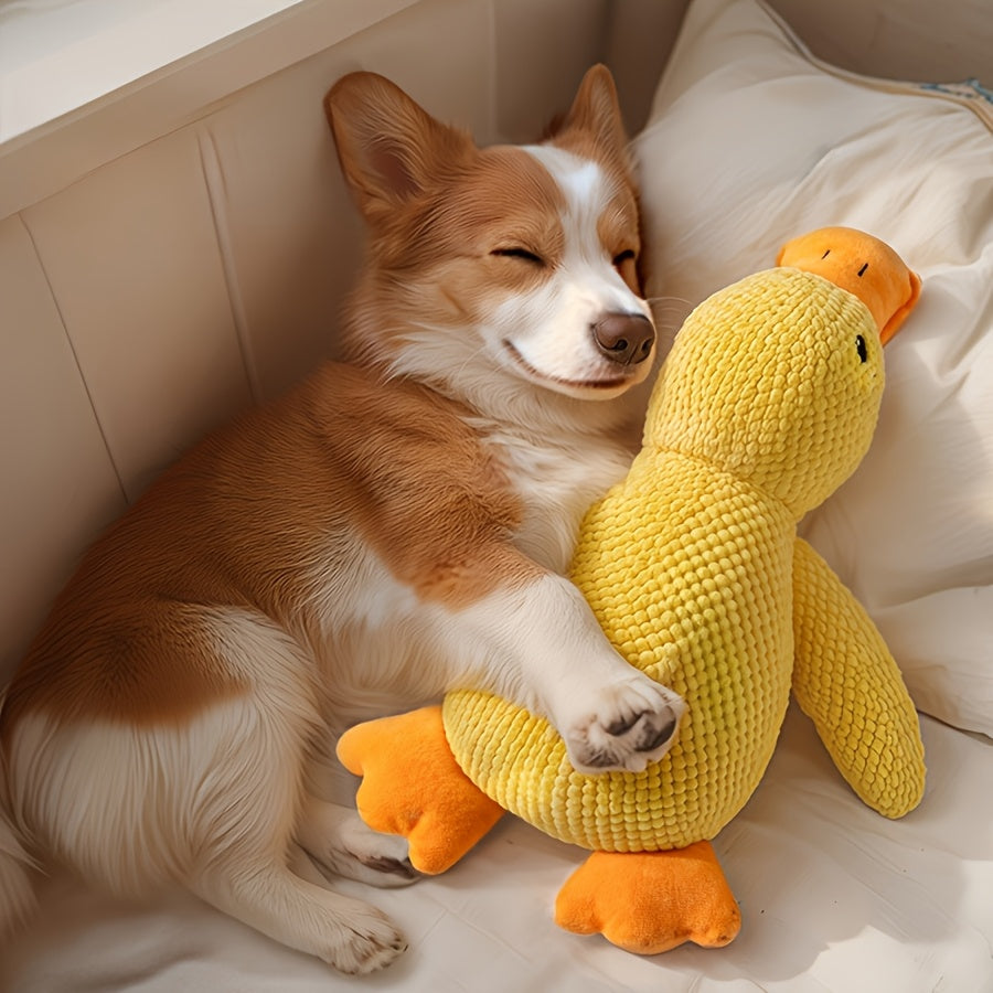 Dê ao seu melhor amigo um melhor amigo para ele mesmo!