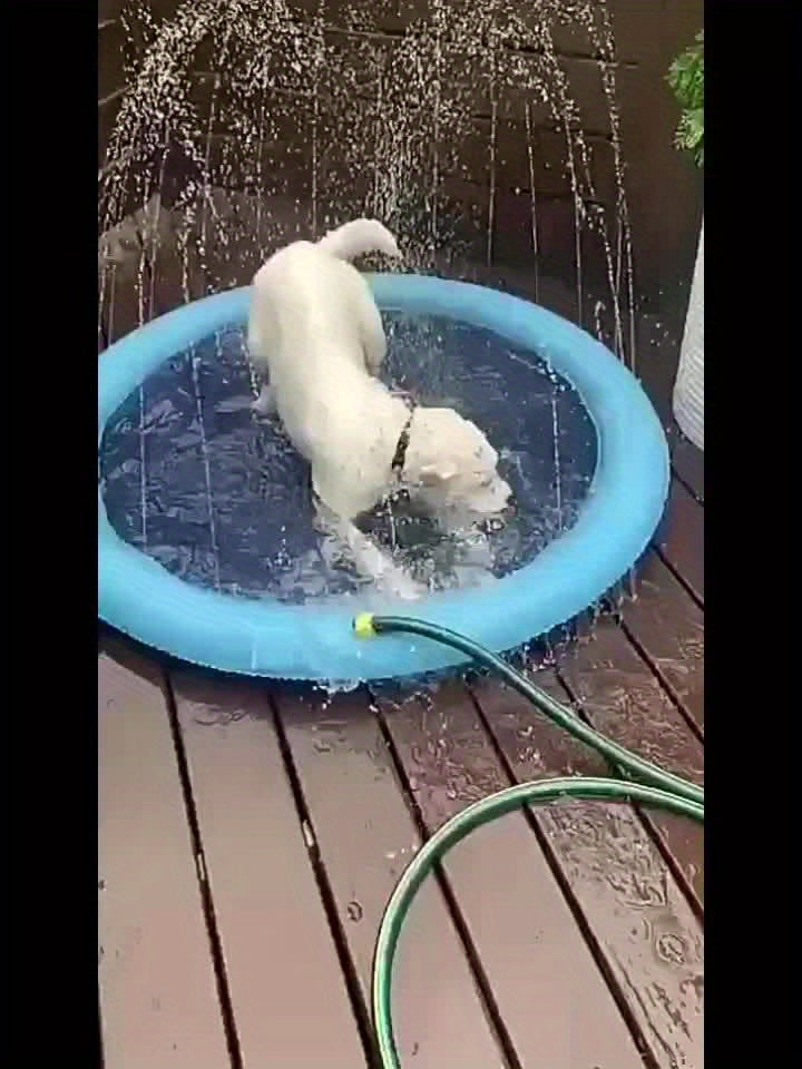 Piscina dobrável para animais de estimação – Banheira de PVC durável para cães de todos os tamanhos!