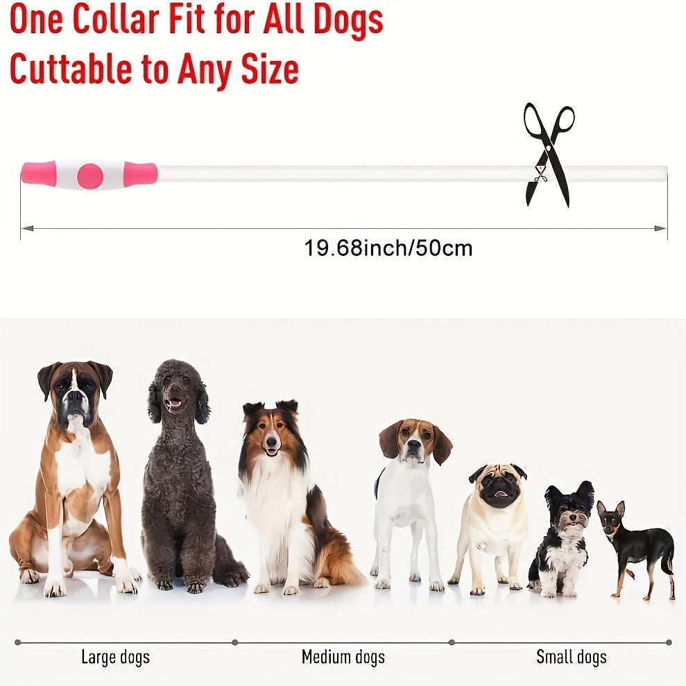 Nunca mais perca seu cão! Coleira com luz LED para cães de estimação