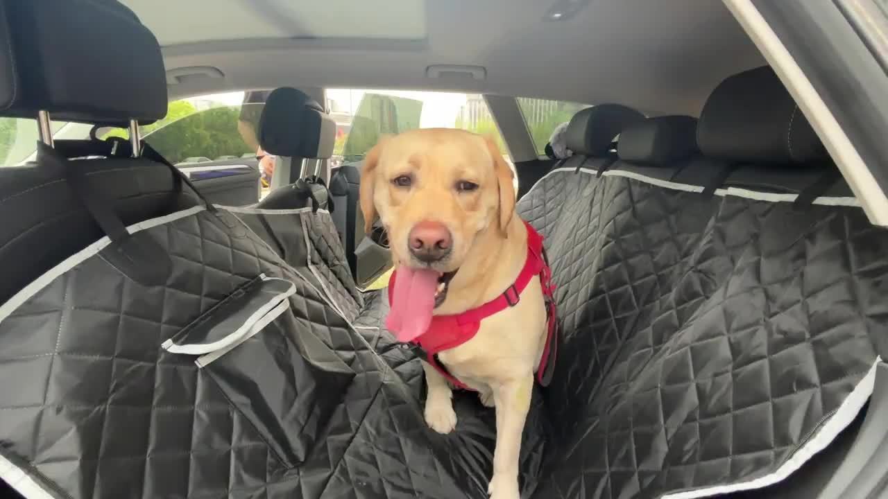 Capa de assento de carro luxuosa para cachorro – à prova de arranhões, antiderrapante e confortável para viagens!