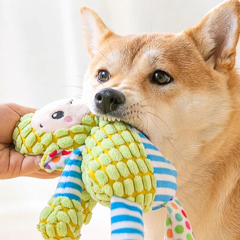 Brinquedo engraçado e alegre para cachorro