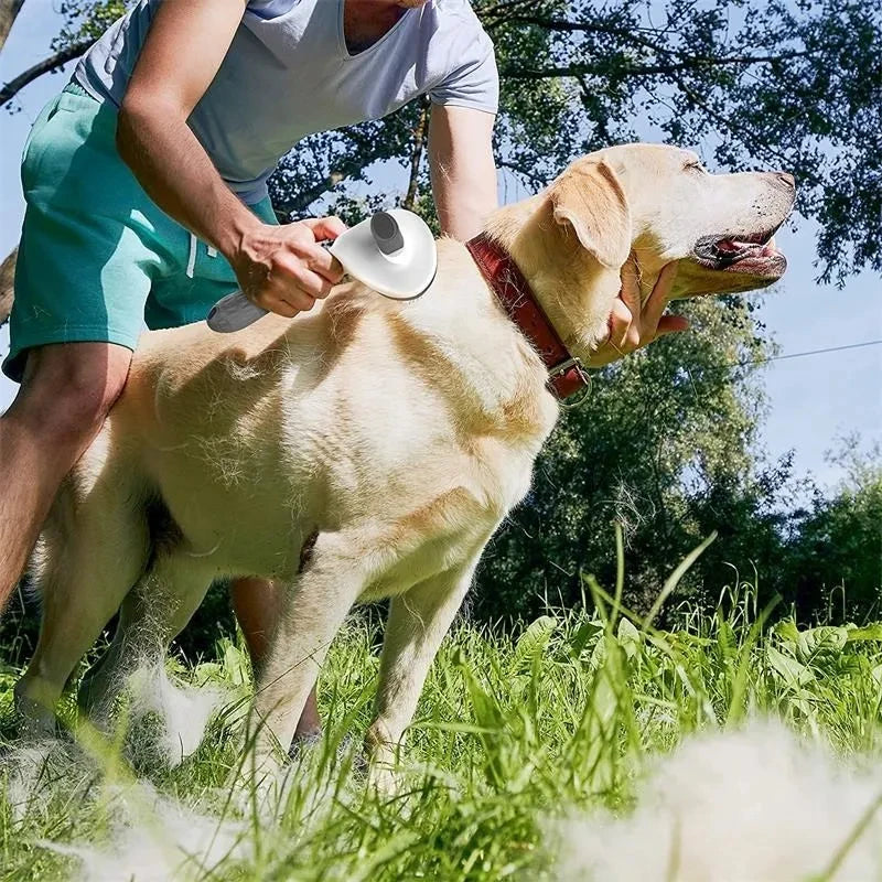 Escova Pet Autolimpante – Remove Pelos com um Clique!