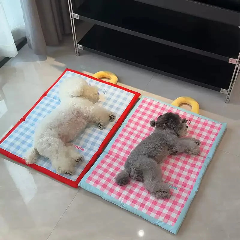 Operação Pata Fresca – Ice Pad Xadrez