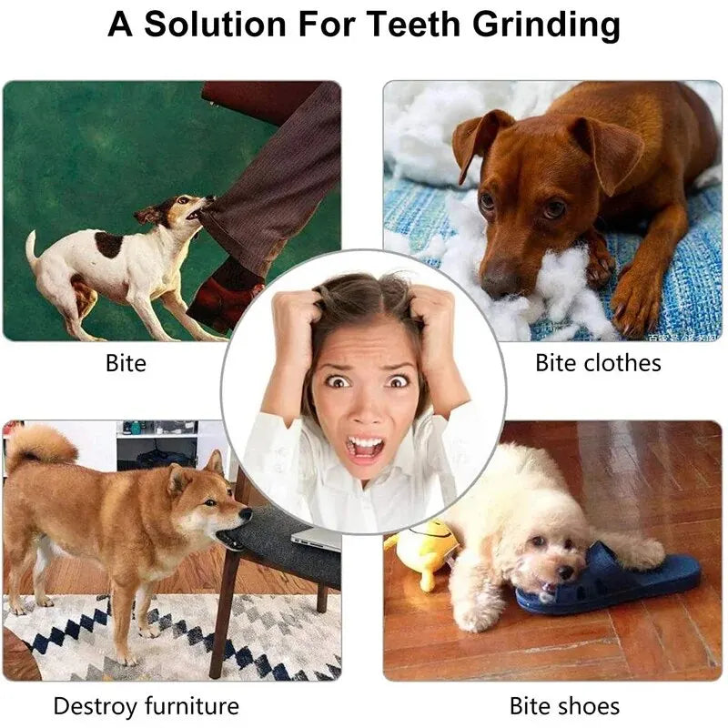 Bola de brinquedo para cães, recompense cada brincadeira com um petico suculento