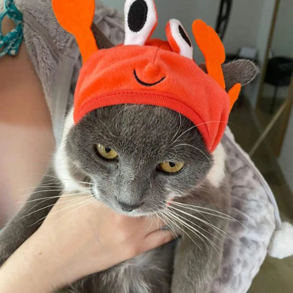 Chapeuzinho para seu Petz nas versões: caranguejo, lagosta, sapo, chapéu