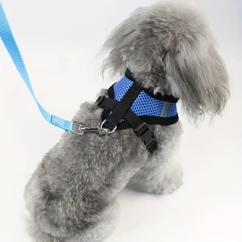 Coleira para cães forte e segura