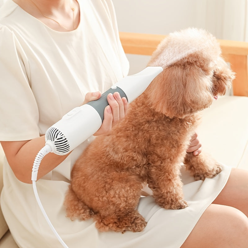 Secador Potente para Cães e Gatos – Conforto, Rapidez e Segurança no Pós-Banho