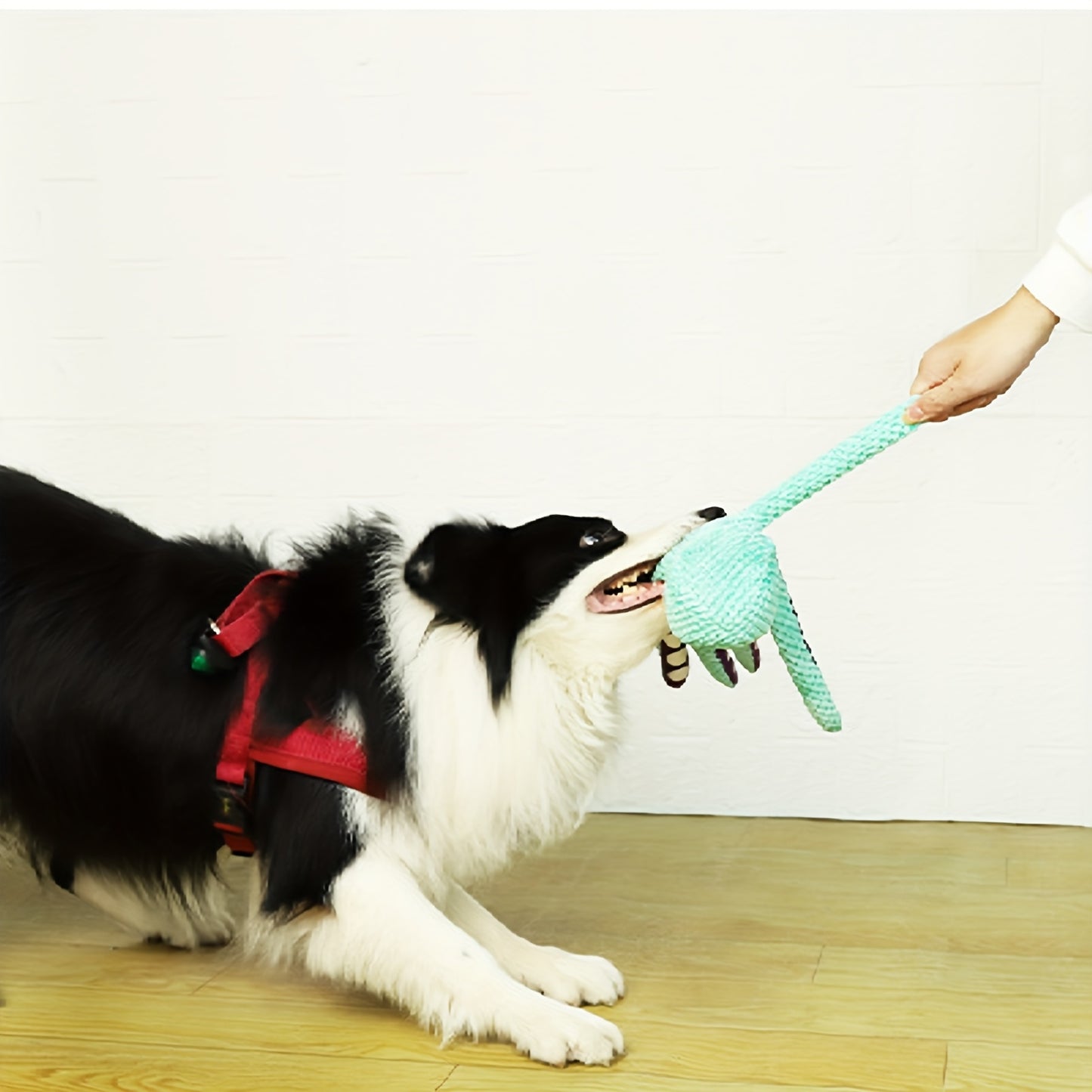 Polvo Interativo para Cães – Pelúcia Resistente com Ventosas Divertidas