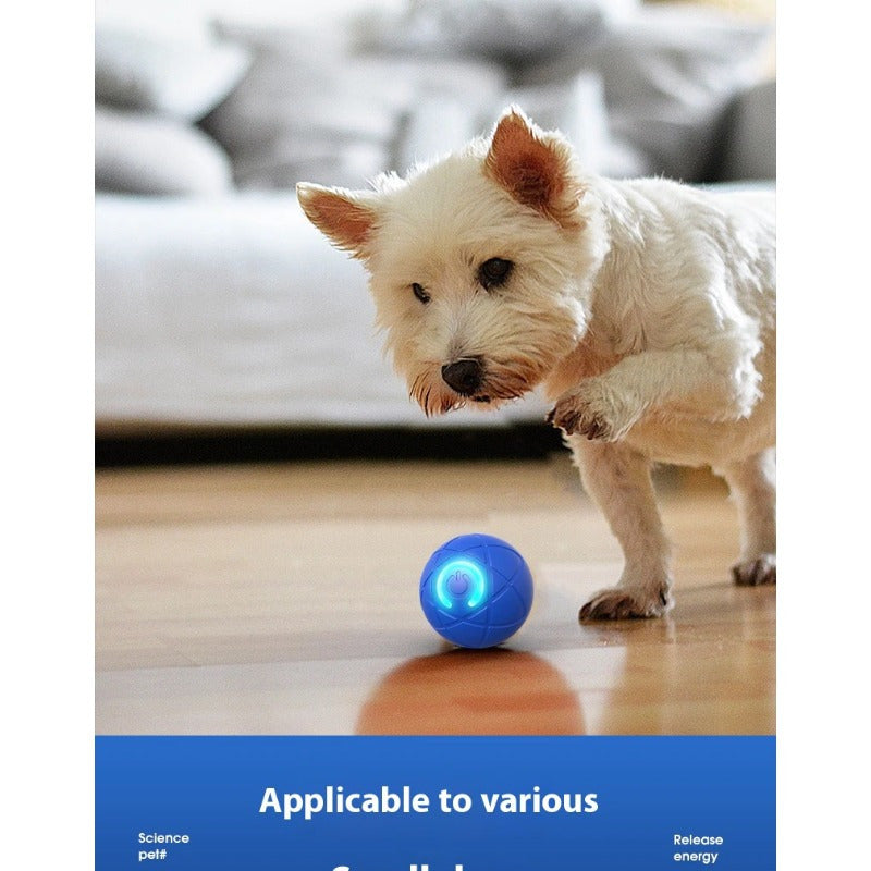 Bola de brinquedo para cães Smart Motion – movimento automático, recarregável via USB e divertida para raças pequenas!