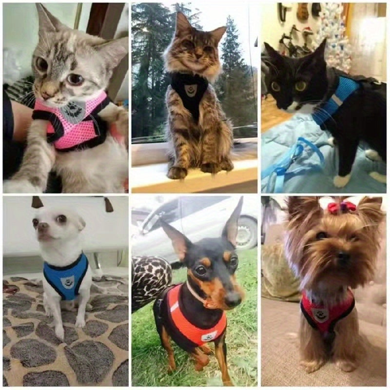 Coleira para cães forte e segura