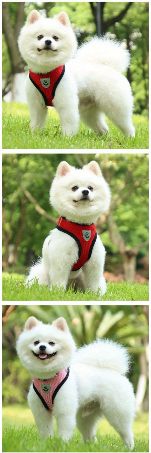 Coleira para cães forte e segura