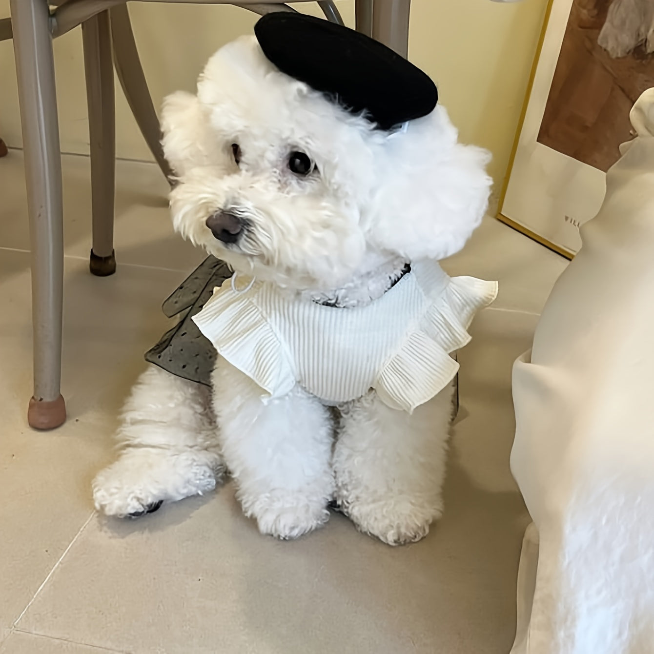 Vista seus Petz como Coco Channel