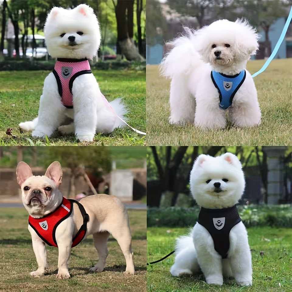 Coleira para cães forte e segura