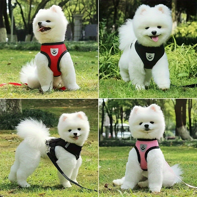 Coleira para cães forte e segura