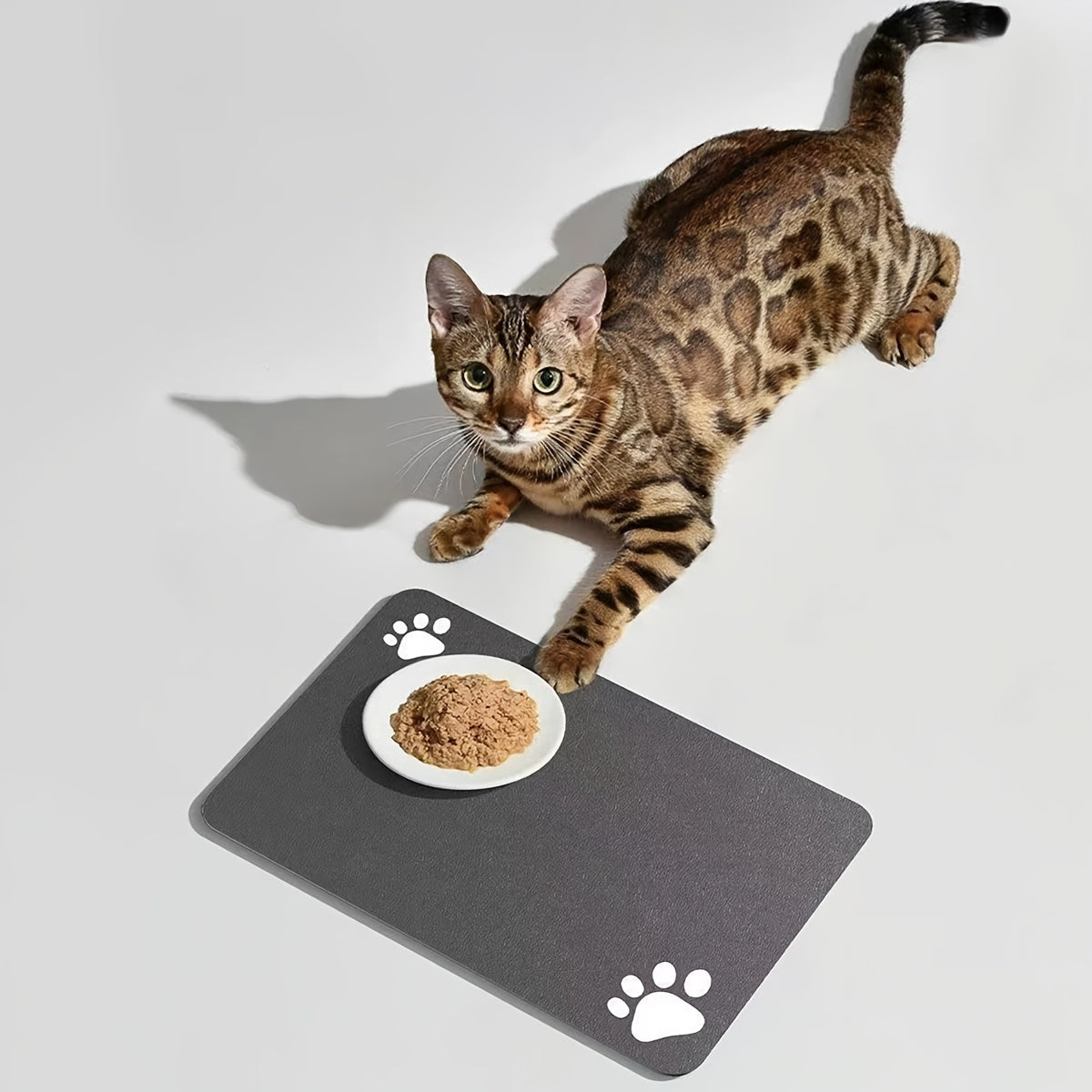 Tapete Inteligente para Alimentação