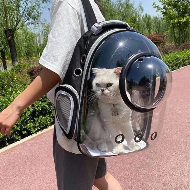 Mochila Transportadora Transparente Panorâmica para Cães ou Gatos – Conforto e Aventura