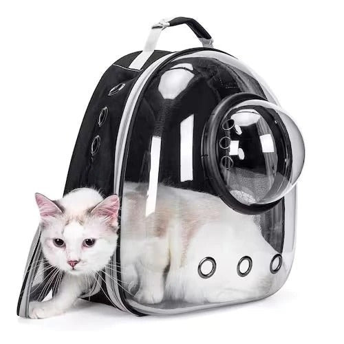Mochila Transportadora Transparente Panorâmica para Cães ou Gatos – Conforto e Aventura