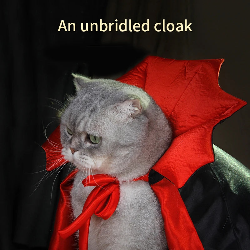 Fantasia de Drácula para seu Bichinho