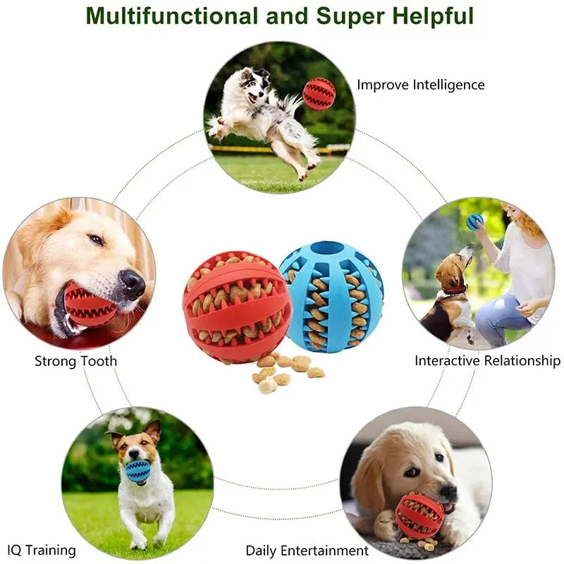 Bola de brinquedo para cães, recompense cada brincadeira com um petico suculento