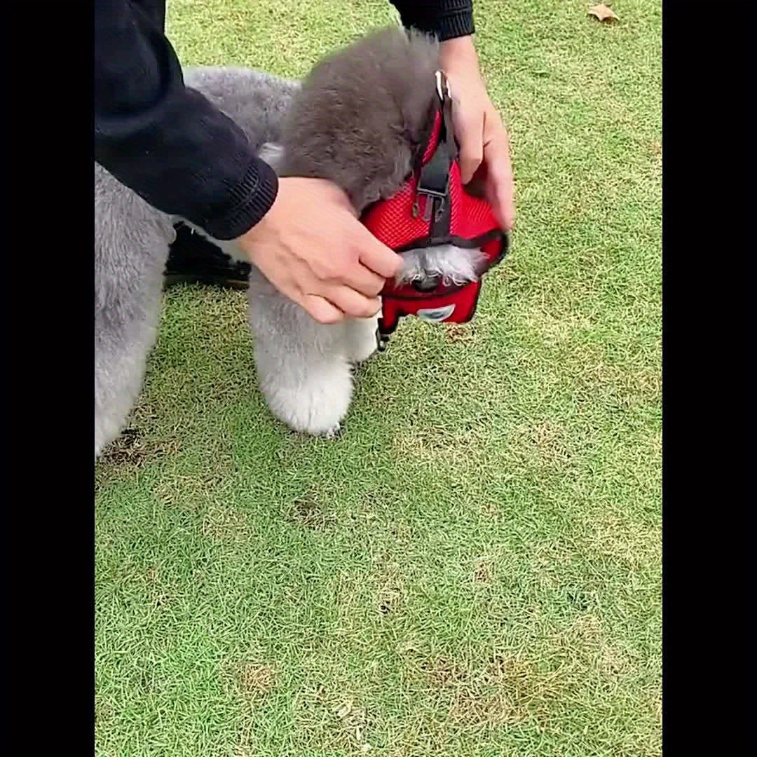 Coleira para cães forte e segura