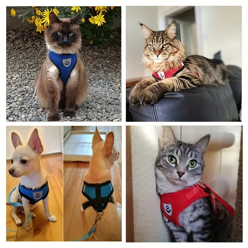 Coleira para cães forte e segura