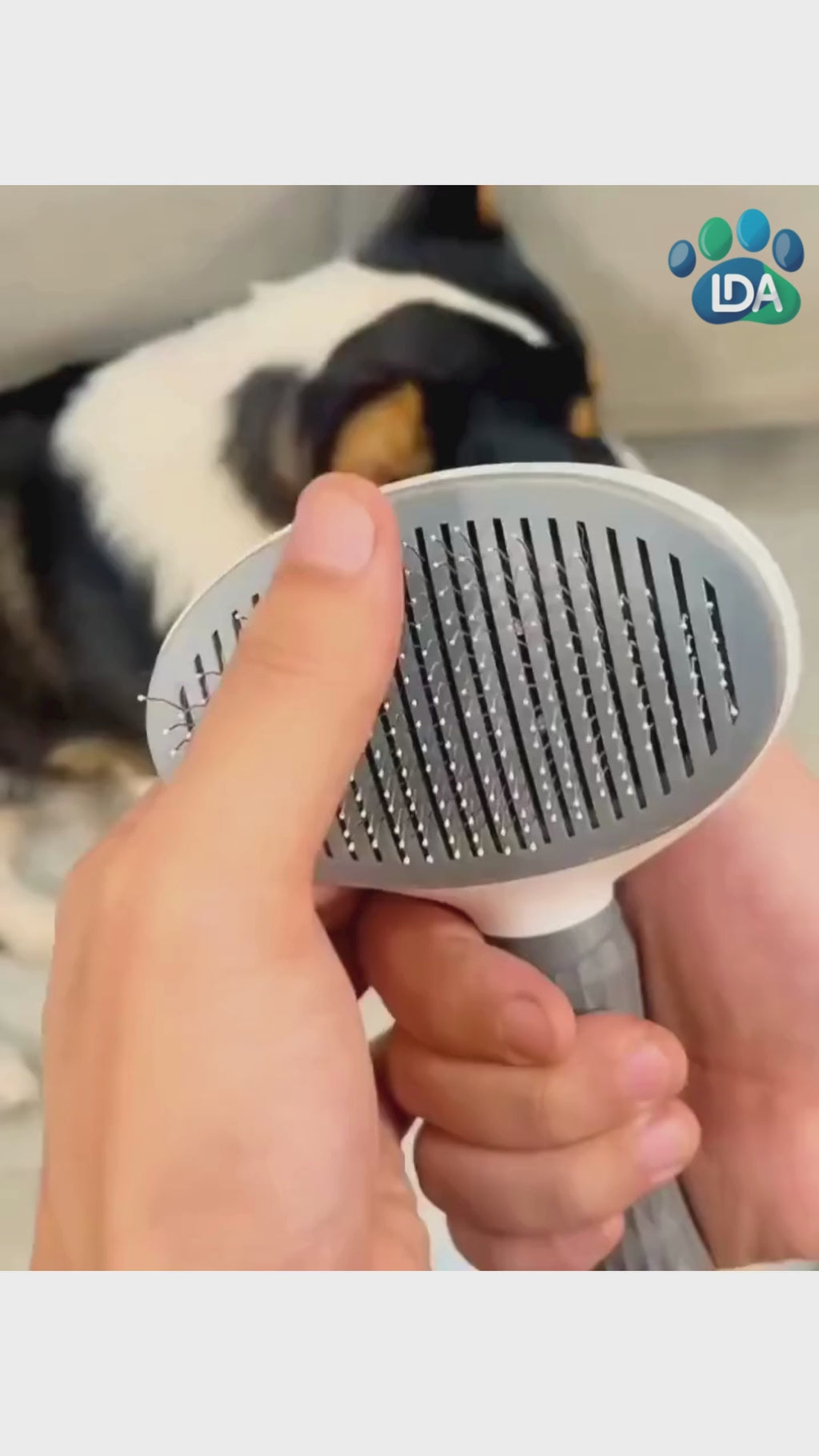 Escova Pet Autolimpante – Remove Pelos com um Clique!