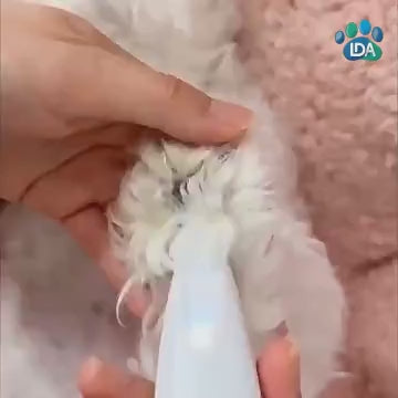 Máquina de tosa silenciosa para animais de estimação – sem fio, recarregável via USB e fácil para aparar pelos em casa!